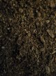 画像4: 【3袋】カブトマット (4)