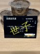 画像1: 世子　スマトラヒラタアチェ　109.4×56（世子デルタ108.1×55）直仔　初令幼虫5頭セット (1)