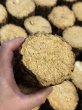 画像2: 九州産　くぬぎ産卵木　A材Sサイズ　39本入り (2)