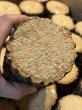 画像2: 九州産　くぬぎ産卵木　A材Mサイズ　29本入り (2)